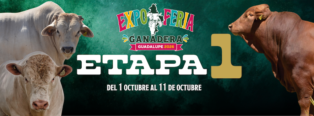 Expo Feria Guadalupe 2026
