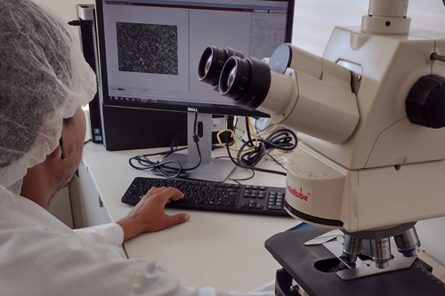 Centro de Biotecnología Reproductiva