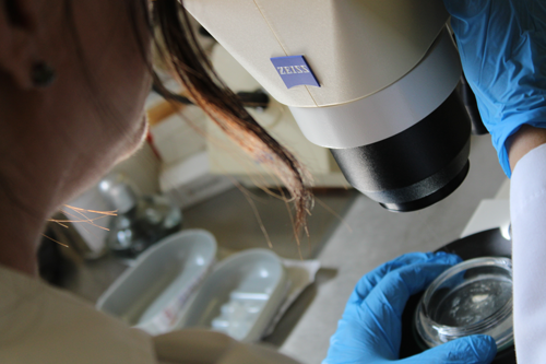 Laboratorio Central Regional del Norte