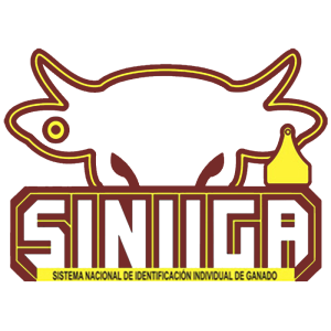 siniiga