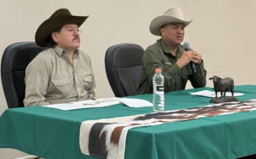 UGRNL llama a unir esfuerzos para recuperar certificación ganadera