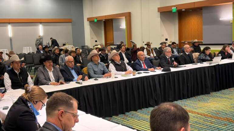 Ganaderos refuerzan vigilancia contra el gusano barrenador en cumbre binacional