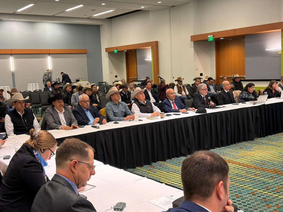 Ganaderos refuerzan vigilancia contra el gusano barrenador en cumbre binacional